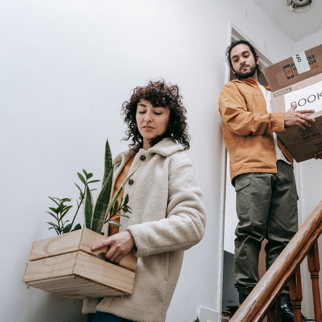 Best International Moving Companies In India