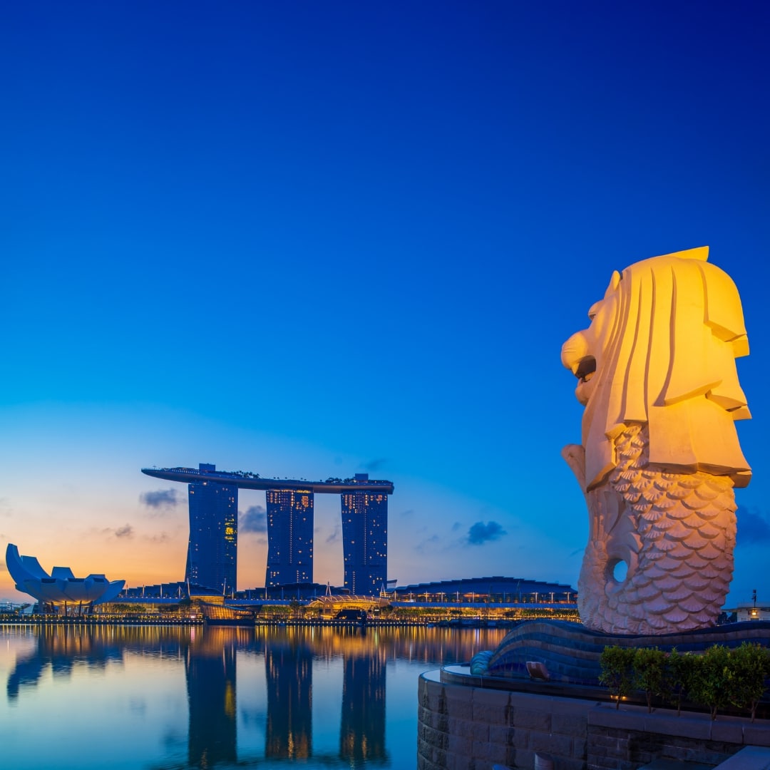 Singapore to India Moving Services