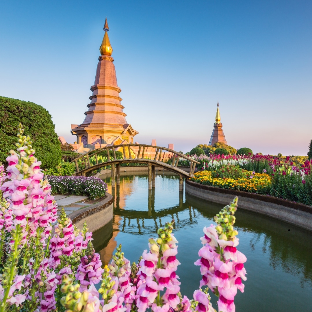 Thailand to India Moving Services